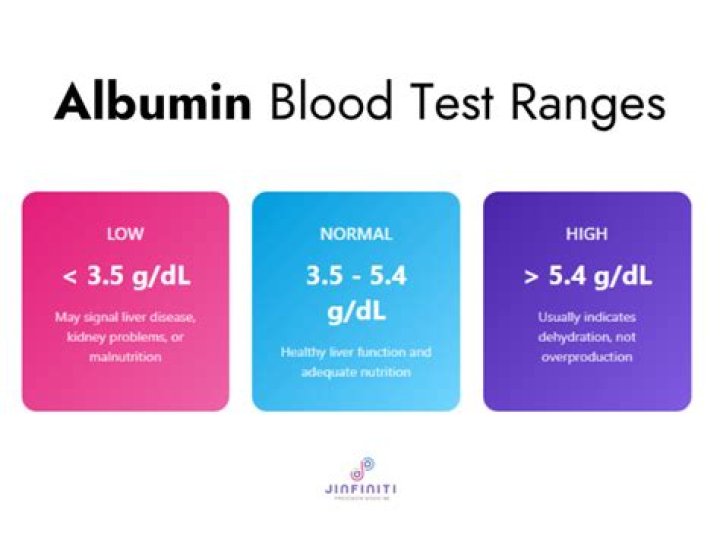 What does a low albumin level indicate?