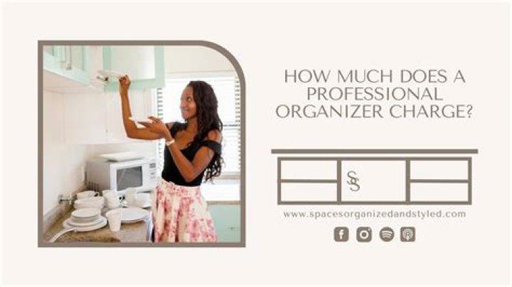 What does a professional organizer charge per hour?