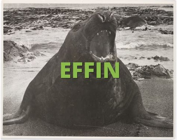 What does effin mean?