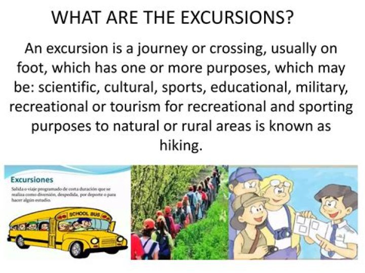 What does free excursions mean on NCL?