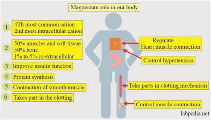 What does magnesium chloride do for the body?