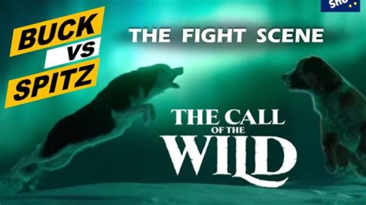 What dog was Spitz in Call of the Wild?