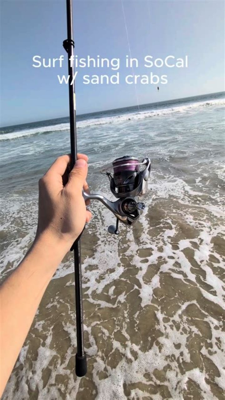 What is a good surf fishing setup?
