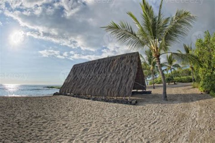 What is a hut on the beach?