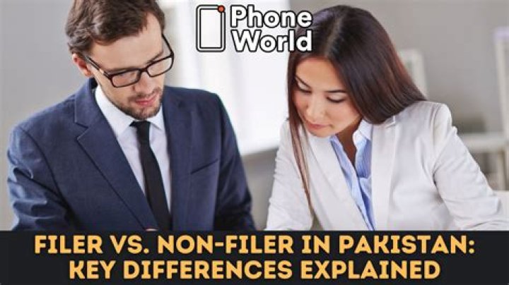 What is a non-accelerated filer SEC?