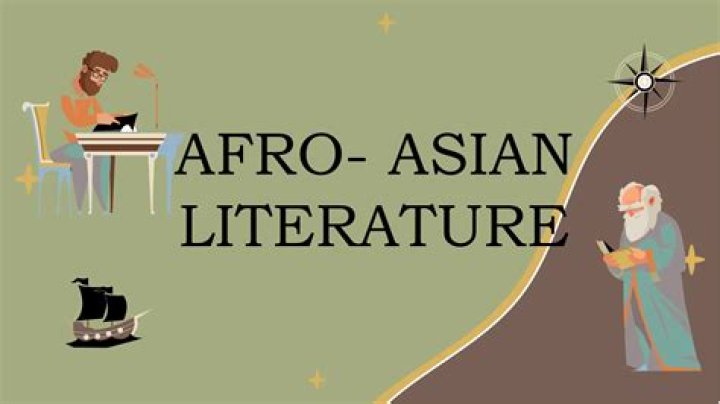 What is an Afro-Asian literature?