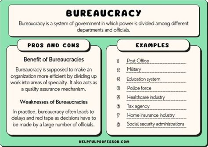 What is an example of a government bureaucracy?