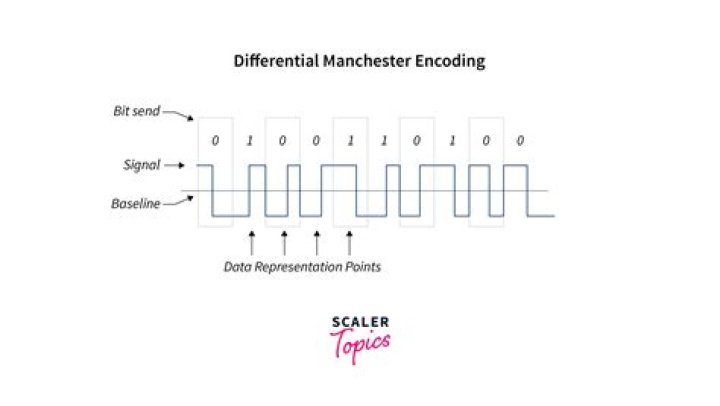 What is difference between one hot and binary encoding?
