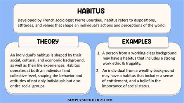 What is habitus and hexis?