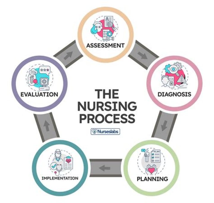 What is HFO nursing?