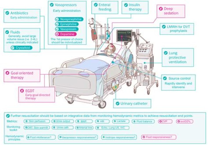 What is inotropic support in ICU?
