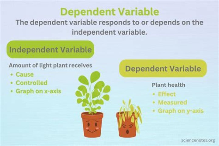 What is NO dependent?