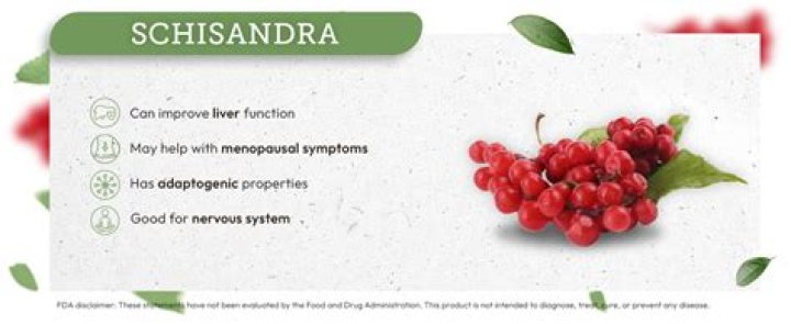 What is Schisandra fruit good for?