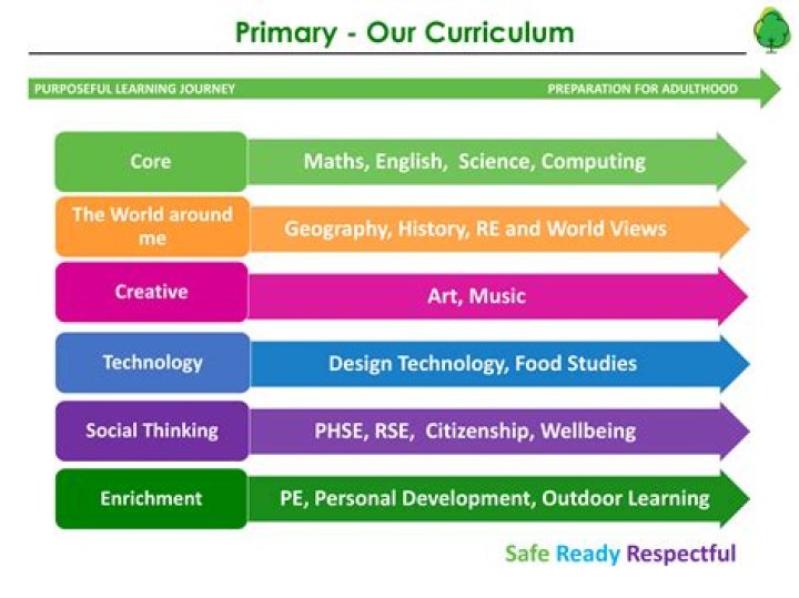 What is SRE in primary schools?