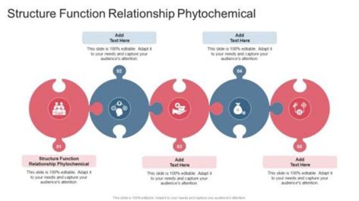 What is structure function Relationship?