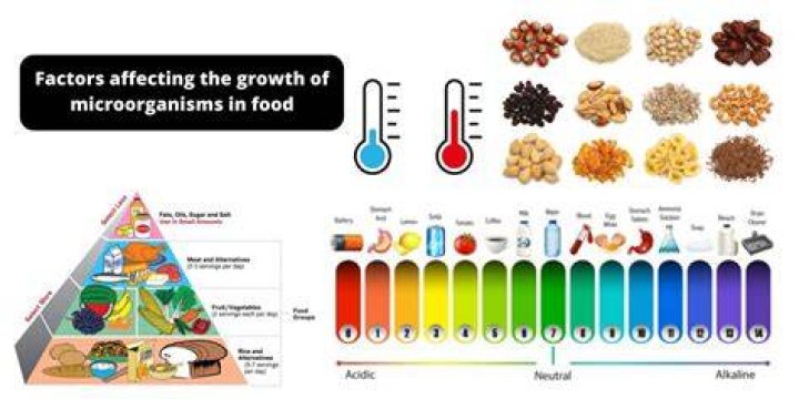 What is synergistic growth of microorganisms in food?