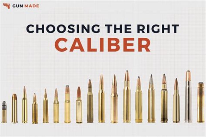 What is the best Calibre for elk?