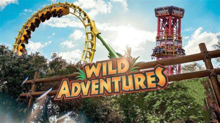 What is the boomerang at Wild Adventures?