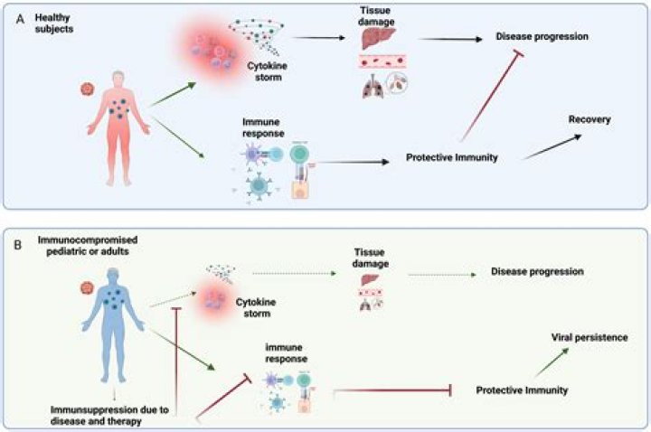 What is the difference between immunocompromised and immunocompetent?