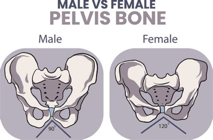 What is the female for John?