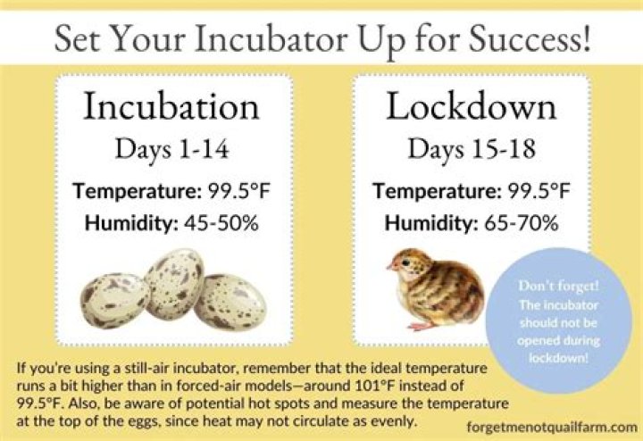 What is the incubation time for distemper?