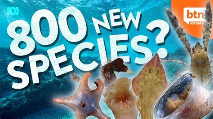 What is the latest material discovered?