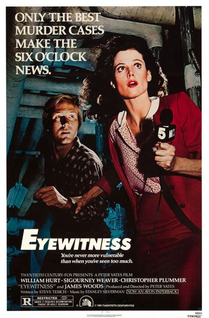 What is the plot of the movie eyewitness?