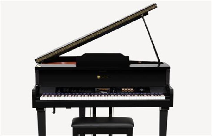 What is the rd-700nx digital piano?