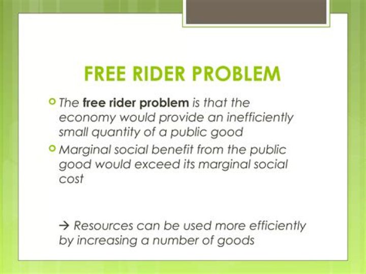 What is the second-order free rider problem?