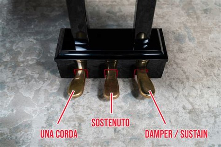 What is the symbol for the sustain pedal?