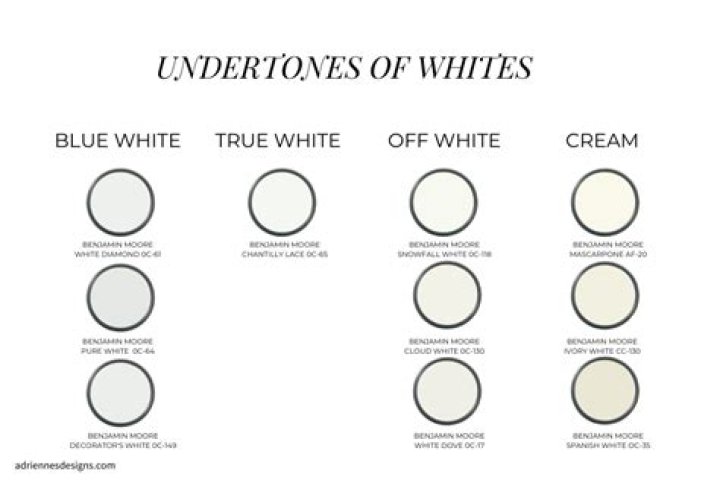 What is the undertone of decorator white?