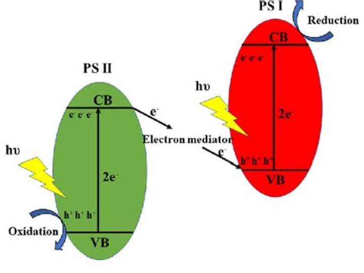 What is Z-scheme in photocatalysis?