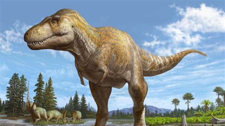 What kind of dinosaurs were found in Mexico?