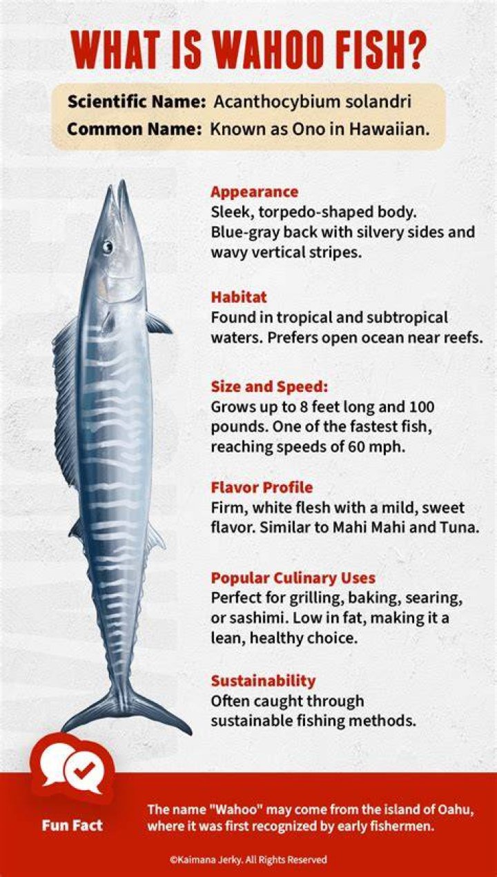 What kind of fish does wahoo tacos use?