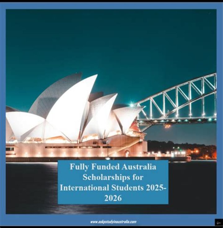 What kind of scholarships are available at UNSW?