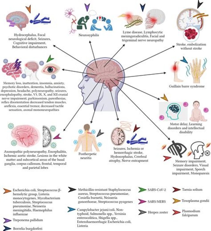 What neurological conditions cause ptosis?