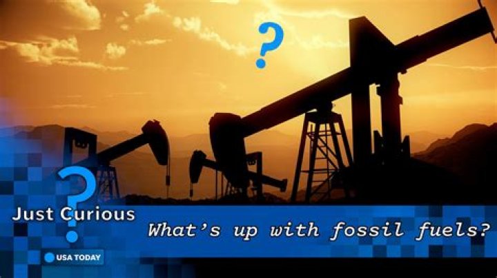 What plants make fossil fuels?
