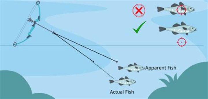 What should be your aiming point when bowfishing?