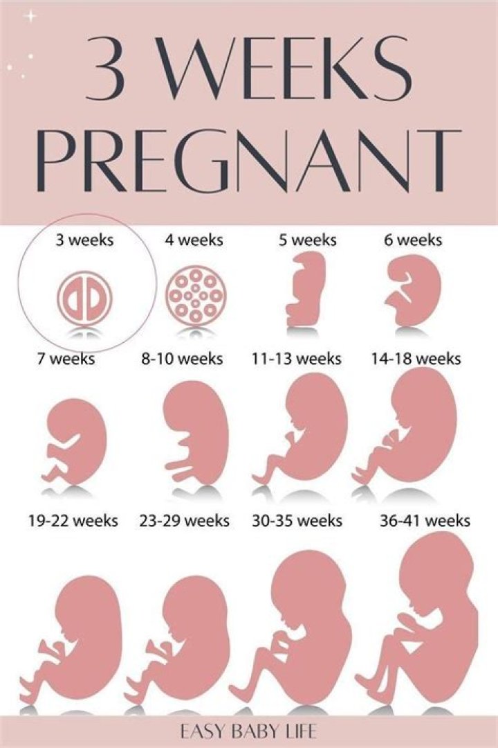 What should my cervix feel like at 3 weeks pregnant?