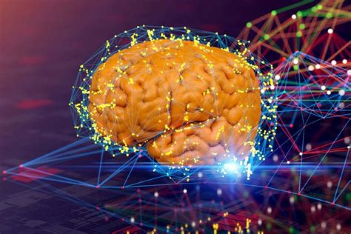 What test records brain activity?