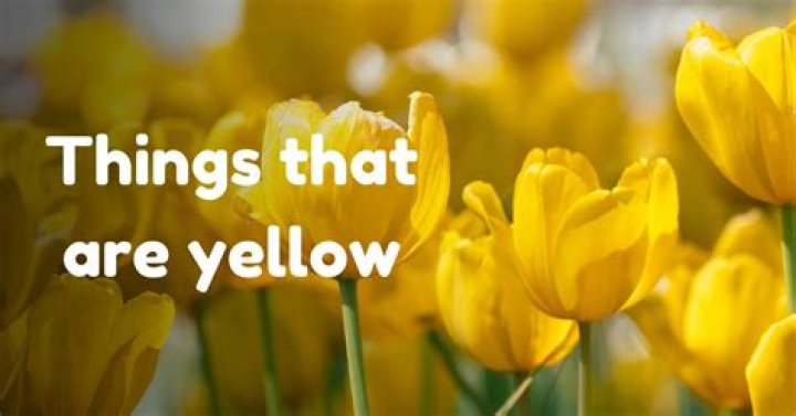 What things are yellow in nature?