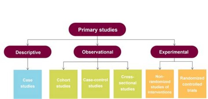 What type of study is an open label study?