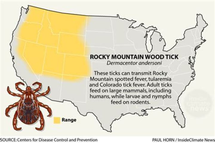 Where are Rocky Mountain wood ticks found?