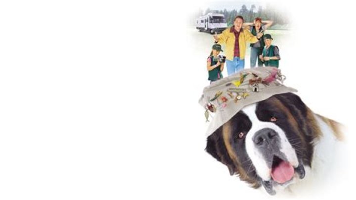 Where can u watch Beethoven 2?