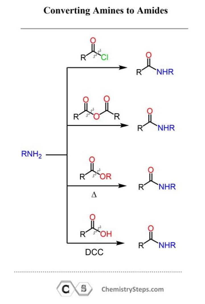Where does an amine show up on IR?