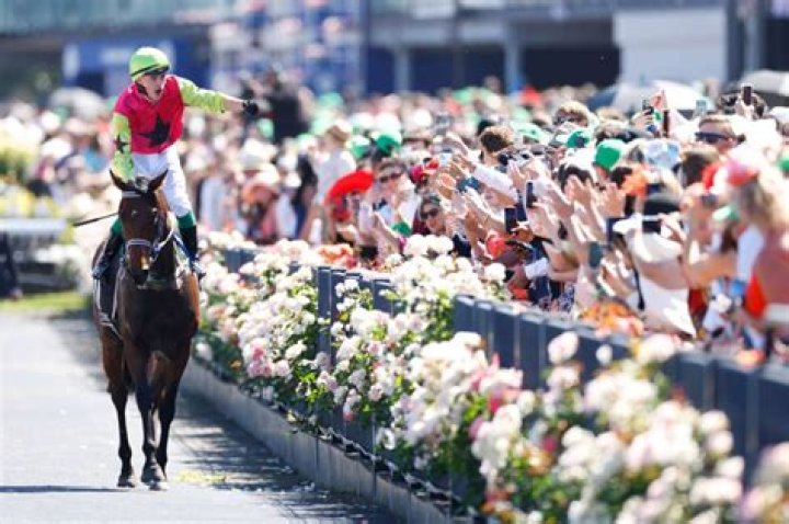 Which barriers are best for Melbourne Cup?