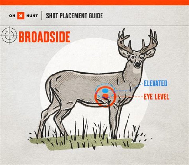 Which end do the Wild shoot at twice?