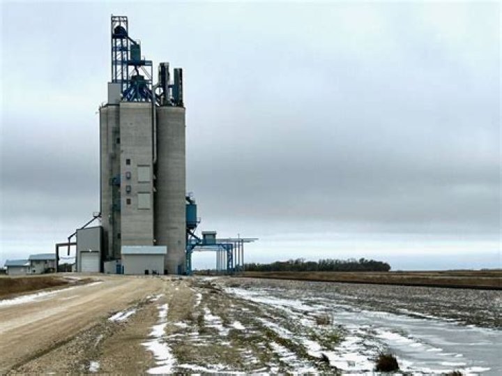 Which grain elevators did Bunge sell?