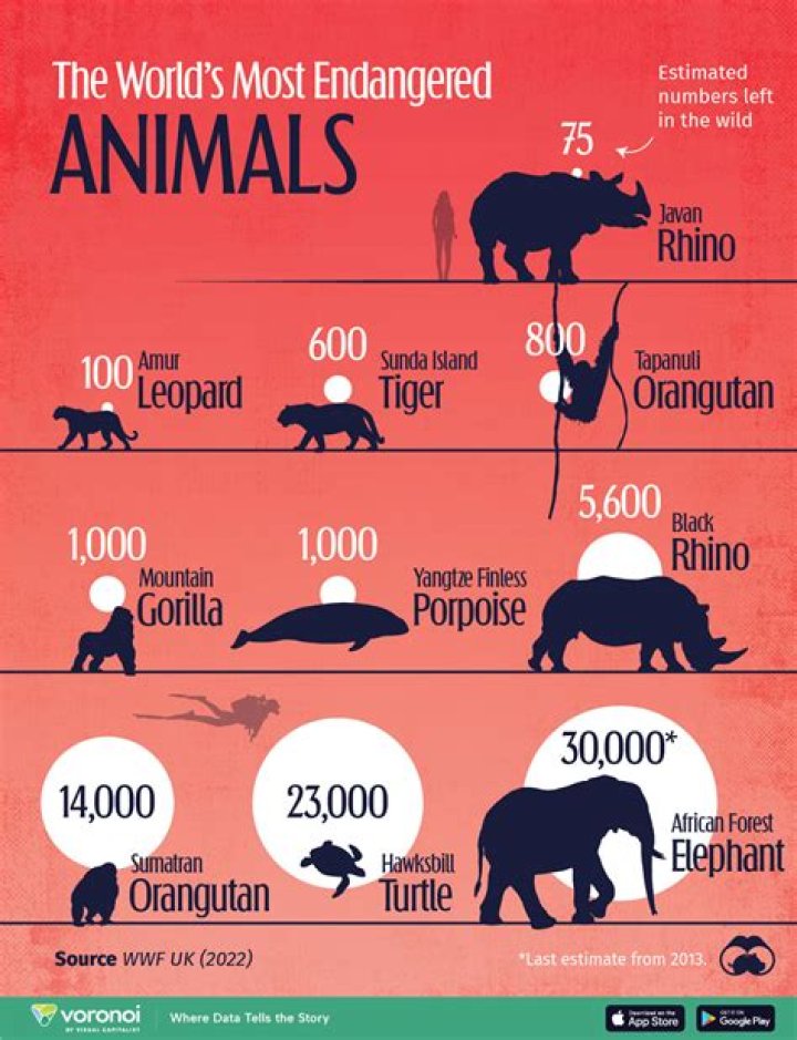 Which species won the battle at Kruger?
