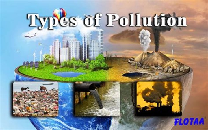 Which trees are best for pollution?